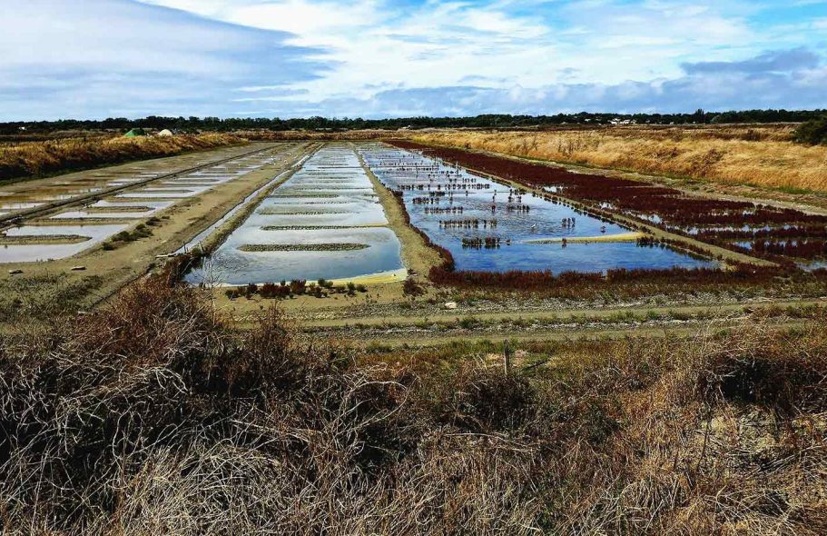 Réflexions sur la lumière – Contraste entre clarté et obscurité dans un paysage naturel. Paysage d’étangs salés baignés d’une lumière rasante – dialogue entre éclat et profondeur des ombres.